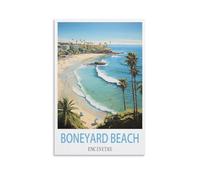 1000 Piece Classic Jigsaw Puzzle Boneyard Beach Encinitas Challenging Puzzles, Puzzle Game for The Whole for Women, Gifts for Men, Theme 38x52cm