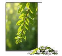 1000 Piece Colorful Willow Catkins Flying Jigsaw Puzzle Fun Jigsaw Puzzle for The Family Great Gift for Anime Fans 1000 Pieces Adult Gift