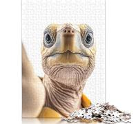 1000 Piece Cool Turtle Selfie - Fun Animal Jigsaw Puzzlesfor Adults Teenagers Jigsaws 1000 Pieces Relax Puzzles Games 300pcs (40x28cm)