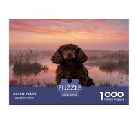 1000 Piece English Cocker Spaniel Jigsaw Puzzle for Adults Kids - Challenging Brain Teaser, Wetland Jigsaws, Home Decoration Unique Gift 70x50cm/1000pcs