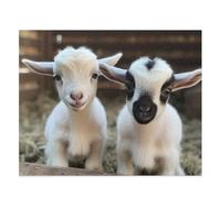 1000-Piece Farm Baby Goats Puzzle - Wooden, Home Decor & Family Fun