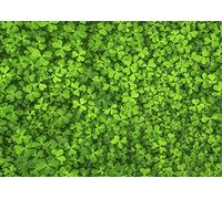 1000 Piece Four Leaf Clover Jigsaw Puzzle - Impossible Impuzzibles - 66cm X 50cm - Irish Themed Jigsaw Puzzle, St Patricks Gift For Adults