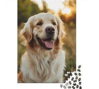1000 Piece Golden Retriever Jigsaw Puzzles for Adults Puzzles Learning Educational Toys 1000pcs (75x50cm)