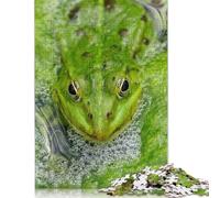 1000 Piece Green Frog in Pond Puzzles for Adults Paper Puzzles Educational Game for Children As A 38x26cm/1000pcs