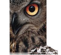 1000 Piece Intense Owl Eye Close-Up Jigsaw Puzzles for Adults Puzzles for Adults Puzzles Unique Home Decor And Gifts 1000pcs (75x50cm)