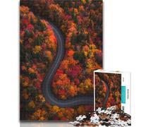 1000 Piece Jigsaw Autumn Road Jigsaw Puzzles for Teenagers,Stress Reliever Difficult Challenge Enhance Love between Couples 26x38cm
