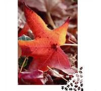 1000 Piece Jigsaw for Adults, Autumn Leaf on Forest Floor, 38x26cm/1000pcs