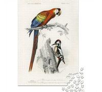 1000 Piece Jigsaw for Adults, Different Types of Birds, 38x26cm/1000pcs