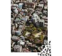 1000 Piece Jigsaw for Adults, Green Square Int Town, 70x50cm/1000pcs
