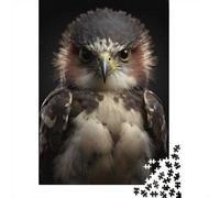 1000 Piece Jigsaw, Hawk Looking At The Camera, 52x38cm/1000pcs