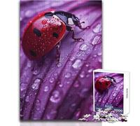 1000 Piece Jigsaw Ladybird Purple Petal Relaxing Leisure Time Activity Precision Cut Smooth Edge Play Toy Size 38x52cm