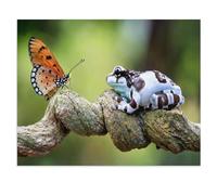 1000 Piece Jigsaw Puzzle，Amazon Milk Frog, Eye to Eye with a Butterfly，Puzzle Unique Birthday And Xmas Gifts（75x50cm）-X97