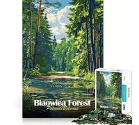1000 Piece Jigsaw Puzzle Bialowieza Forest Poland Belarus Perfect Edge Play Smart Challenge Fun Slow Play Fun Birthday Fun Gift (38x26cm)