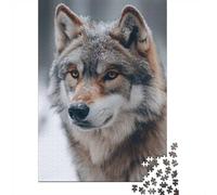 1000 Piece Jigsaw Puzzle, Close-up Portrait of A Winter Wolf, 70x50cm/1000pcs, for Adults, Shared Puzzle Activity, Relaxing Evenings And Time Together