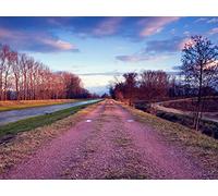 1000 Piece Jigsaw Puzzle Educational Games Home Decoration - Road stony river 75x50cm