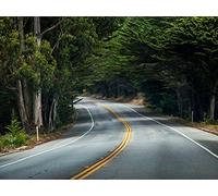 1000 Piece Jigsaw Puzzle Educational Games Home Decoration - Road turn signpost 75x50cm