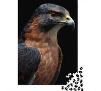 1000 Piece Jigsaw Puzzle, Falcon, 70x50cm/1000pcs, for Adults, Indoor Puzzle Activity, Home Relaxation And Cosy Evenings