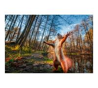 1000-Piece Jigsaw Puzzle Featuring Lovely Animals Cosmic Space Themes Large Piece Design for Easy Assembly A Relaxing Hobby Unique Wall Decor (69 * 51cm)