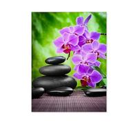 1000 Piece Jigsaw Puzzle for Adult，Orchid and Stone，for Stress Relief & Fun, Challenging Adult Puzzles, Premium Artwork for Relaxation & Decor, Festive Family Jigsaws（75x50cm）-D17