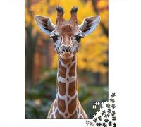 1000 Piece Jigsaw Puzzle for Adults, 38x26cm/1000pcs, Adorable Giraffe Portrait, Relaxing Home Activity And Family Time at Home