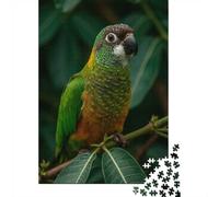 1000 Piece Jigsaw Puzzle for Adults, 38x26cm/1000pcs, Brown-headed Parrot on A Branch, Shared Puzzle Activity, Quiet Home Time And Couples And Families