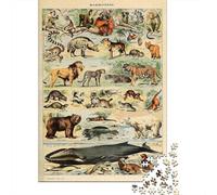 1000 Piece Jigsaw Puzzle for Adults, 52x38cm/1000pcs, Adolphe Millot Mammals V2, Idea, Winter Indoor Activity And Family Time at Home