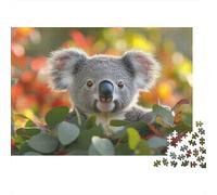 1000 Piece Jigsaw Puzzle for Adults, 52x38cm/1000pcs, Cute Koala Portrait in Eucalyptus Tree, Winter Indoor Activity, Quiet Evening Leisure And Cosy Evenings