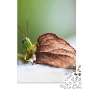1000 Piece Jigsaw Puzzle for Adults, 52x38cm/1000pcs, Green Grasshopper on Leaf, Screen-Free Activity And Cosy Winter Evenings