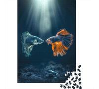 1000 Piece Jigsaw Puzzle for Adults, 70x50cm/1000pcs, Betta Meeting, Shared Puzzle Activity, Weekend Leisure And Friends And Family