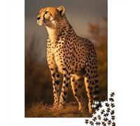 1000 Piece Jigsaw Puzzle for Adults, 70x50cm/1000pcs, Majestic Cheetah Close Up, Thoughtful Gift Idea, Relaxing Indoor Activity And Time at Home