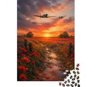 1000 Piece Jigsaw Puzzle for Adults, Airplanes Poppies Sunset Field