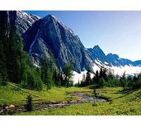 1000 Piece Jigsaw Puzzle for Adults And for Kids Age 14 And Up - Mountains river source 75x50cm