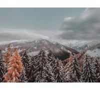 1000 Piece Jigsaw Puzzle for Adults And for Kids Age 14 And Up - Mountains trees clouds 75x50cm