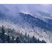 1000 Piece Jigsaw Puzzle for Adults And Kids Age 14 And Up - Great smoky mountains tennessee mountains 75x50cm