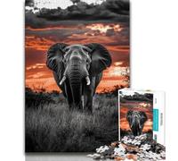 1000 Piece Jigsaw Puzzle for Adults And Teenagers African Elephant Adult Puzzles,Fun Games Wall Decoration Unique Birthday And Xmas Gifts (size 75x50cm)