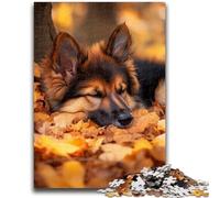 1000 Piece Jigsaw Puzzle for Adults And Teenagers Shepherd Dog in Fallen Leaves Adult Puzzles,Home Decoration Toys for Age 14 Years Up (75x50cm)