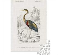 1000-Piece Jigsaw Puzzle for Adults, Ardea Purpurea, 70x50cm/1000pcs, Winter Indoor Activity, Quiet Evening Leisure And Time at Home
