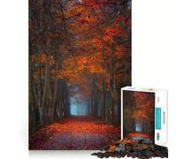 1000 Piece Jigsaw Puzzle for Adults Autumn Forest Path Tight Cut Fun Mind Game Gift Relax Fun Time Birthday Game Gift (50x75cm)