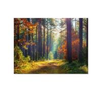 1000 Piece Jigsaw Puzzle for Adults，Autumn natural landscape，Hard Difficult Challenging Puzzle, Gift for Adult Puzzle Lovers（75x50cm）-P5