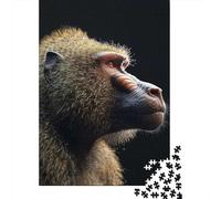 1000-Piece Jigsaw Puzzle for Adults, Baboon, 52x38cm/1000pcs, Winter Indoor Activity, Quiet Evening Leisure And Time at Home