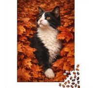 1000 Piece Jigsaw Puzzle for Adults, Black and White Cat in Autumn Leaves | For quiet time before New Year, this adult jigsaw puzzle with 1000 pieces offers a classic activity for Christmas.