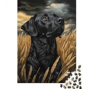 1000 Piece Jigsaw Puzzle for Adults, Black Lab in Wheat Field, 38x26cm/1000pcs, Shared Puzzle Activity, Relaxing Evenings And Friends And Family