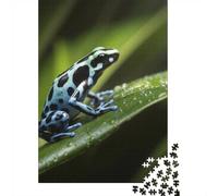 1000 Piece Jigsaw Puzzle for Adults, Blue Poison Dart Frog on Leaf