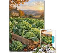 1000 Piece Jigsaw Puzzle for Adults, Broccoli Harvest in Autumn Garden | For free time at home, this adult jigsaw puzzle with 1000 pieces combines concentration with relaxation.