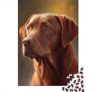 1000 Piece Jigsaw Puzzle for Adults, Chesapeake Bay Retriever, 52x38cm/1000pcs, Idea, Screen-Free Activity And Family Time at Home
