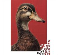 1000 Piece Jigsaw Puzzle for Adults, Close-up of a Mallard Duck's Head
