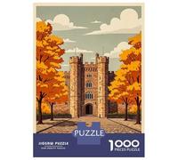 1000 Piece Jigsaw Puzzle for Adults Dublin Castle Ireland Autumn Puzzles for Adults Family Game A Work of Art Unique Gifts for Birthday And Christmas 38x26cm/1000pcs