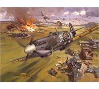 1000 Piece Jigsaw Puzzle for Adults - Eagle Over the Woods 1000 Piece Jigsaw Puzzle for Adults 26x38cm