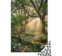 1000 Piece Jigsaw Puzzle for Adults, Enchanted Forest Floor with Sunbeams, 70x50cm/1000pcs, Shared Puzzle Activity, Relaxing Evenings And Weekend Downtime