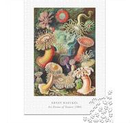 1000-Piece Jigsaw Puzzle for Adults, Ernst Haeckels Art Forms of Nature, 38x26cm/1000pcs, Winter Indoor Activity And Family Time at Home